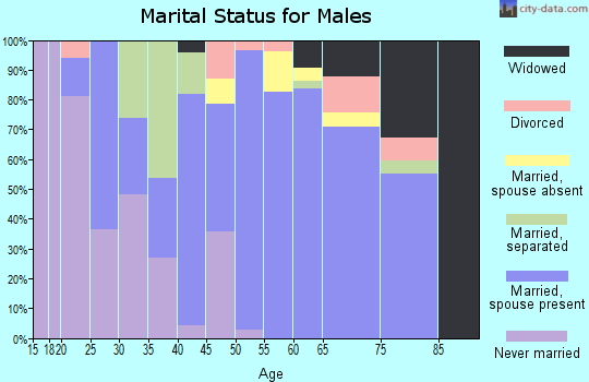Zip code 29432 marital status for males