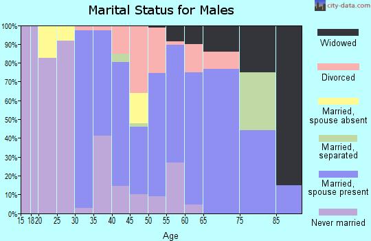 Zip code 29435 marital status for males