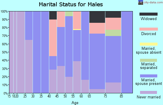 Zip code 29436 marital status for males