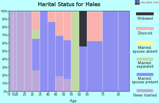 Zip code 29437 marital status for males