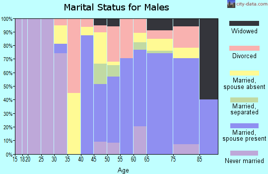 Zip code 29438 marital status for males