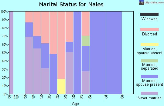Zip code 29439 marital status for males