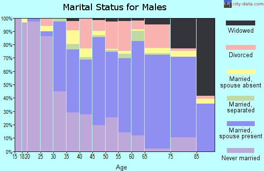 Zip code 29440 marital status for males
