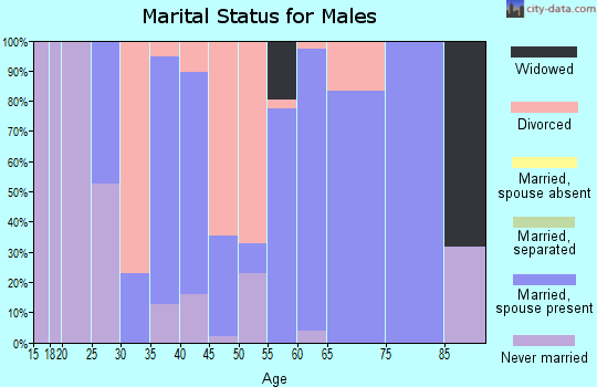 Zip code 29448 marital status for males