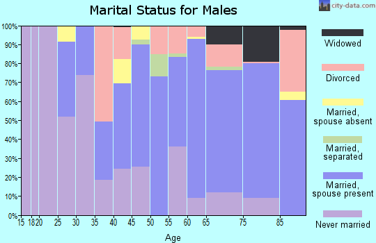 Zip code 29449 marital status for males
