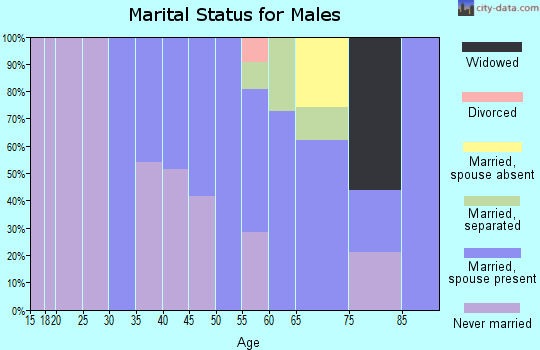 Zip code 29450 marital status for males
