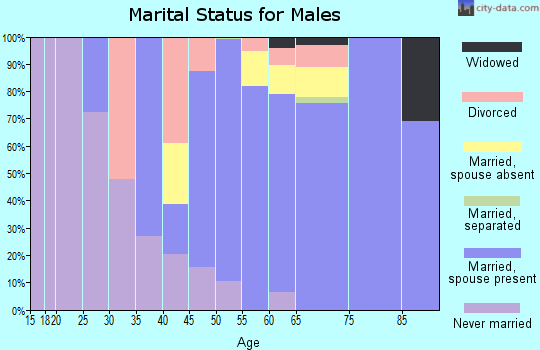 Zip code 29451 marital status for males