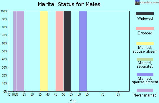 Zip code 29452 marital status for males