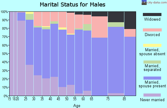 Zip code 29456 marital status for males