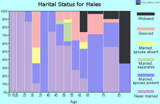 Zip code 29458 marital status for males