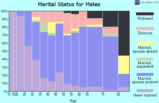 Zip code 29461 marital status for males