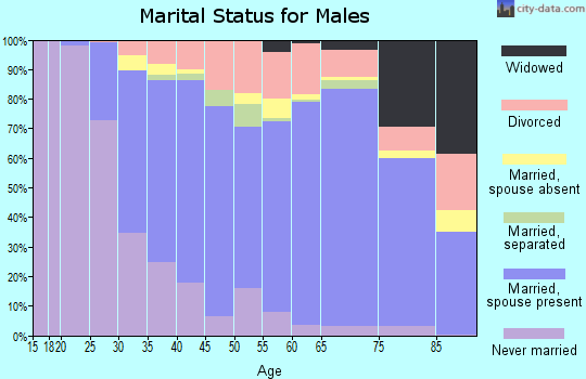 Zip code 29464 marital status for males