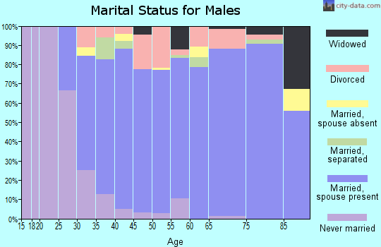Zip code 29466 marital status for males