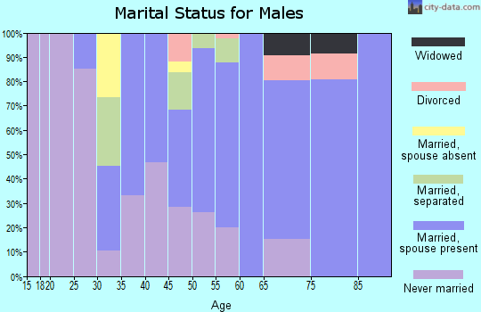 Zip code 29470 marital status for males