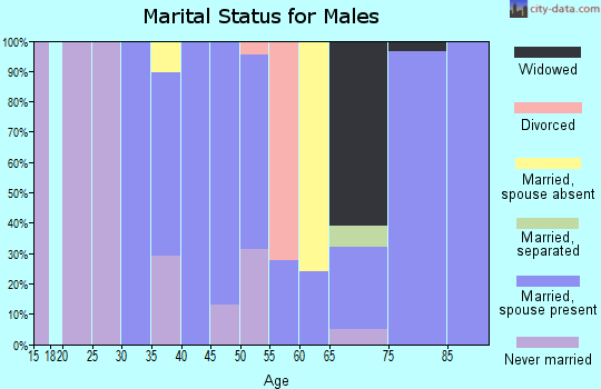 Zip code 29471 marital status for males