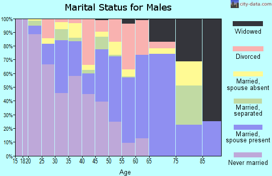 Zip code 29472 marital status for males