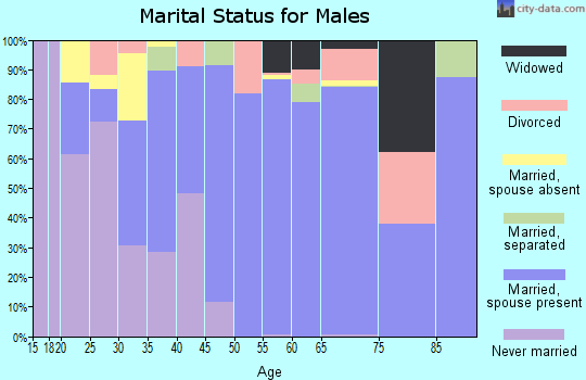 Zip code 29479 marital status for males