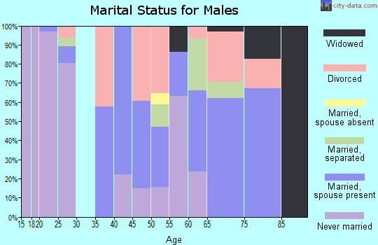Zip code 29481 marital status for males