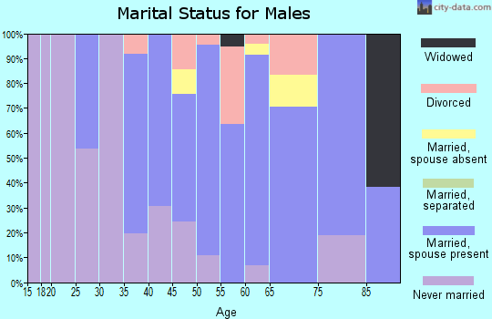 Zip code 29482 marital status for males