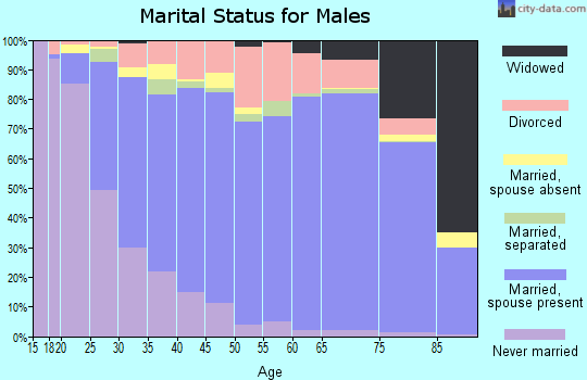 Zip code 29483 marital status for males