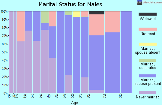 Zip code 29487 marital status for males