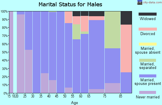 Zip code 29492 marital status for males