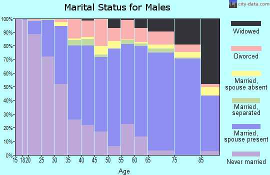 Zip code 29501 marital status for males