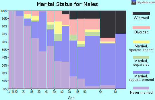 Zip code 29506 marital status for males