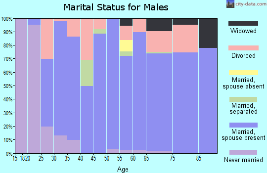 Zip code 29511 marital status for males