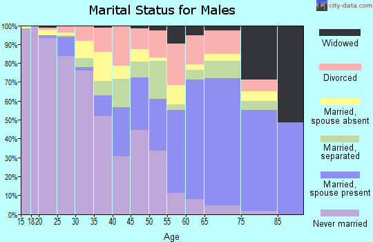 Zip code 29512 marital status for males
