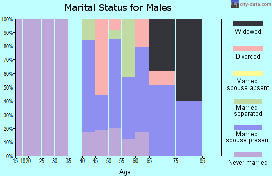 Zip code 29516 marital status for males
