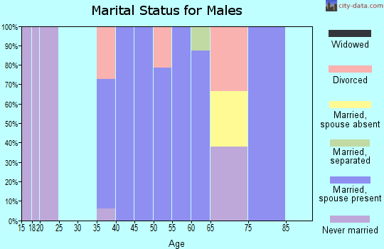 Zip code 29518 marital status for males