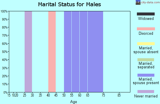 Zip code 29519 marital status for males