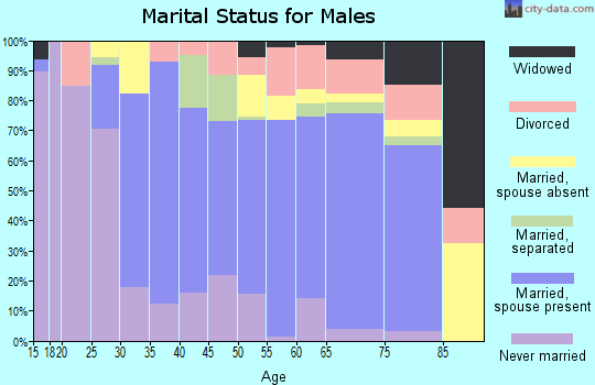 Zip code 29520 marital status for males