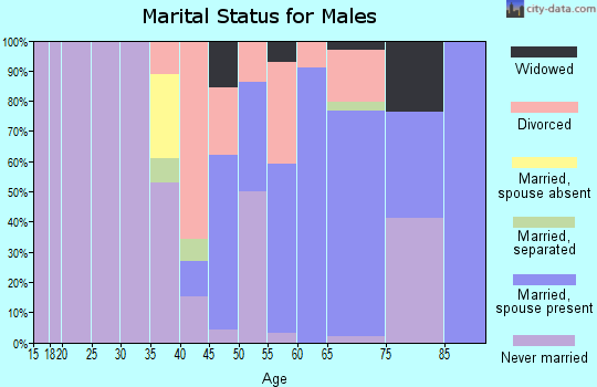 Zip code 29525 marital status for males
