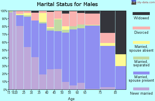 Zip code 29527 marital status for males