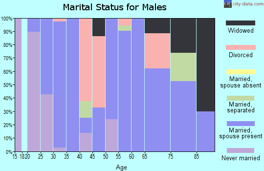 Zip code 29530 marital status for males
