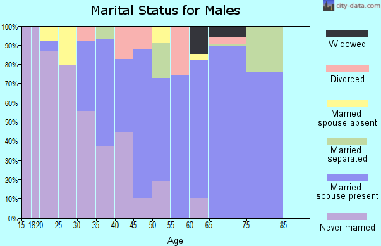 Zip code 29540 marital status for males