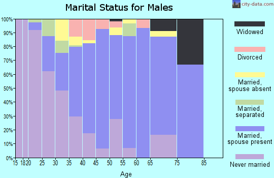 Zip code 29541 marital status for males
