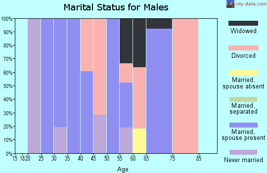 Zip code 29543 marital status for males