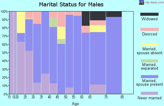 Zip code 29544 marital status for males