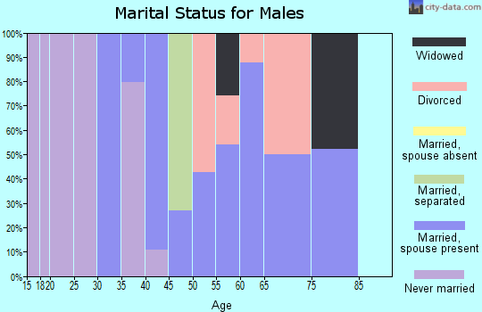 Zip code 29545 marital status for males