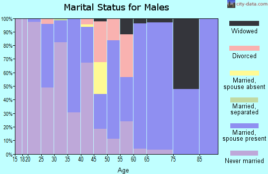 Zip code 29547 marital status for males
