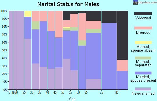 Zip code 29554 marital status for males