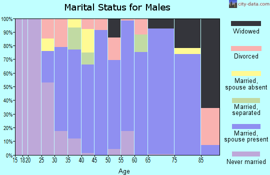 Zip code 29555 marital status for males