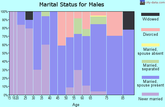 Zip code 29563 marital status for males