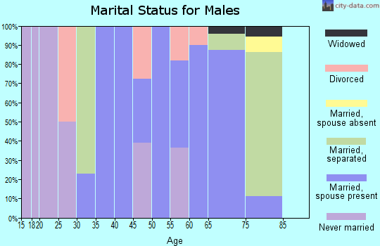 Zip code 29564 marital status for males