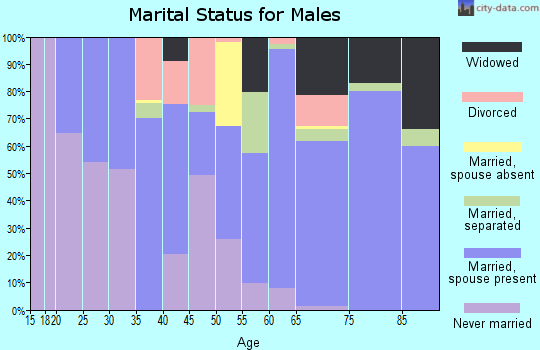 Zip code 29565 marital status for males