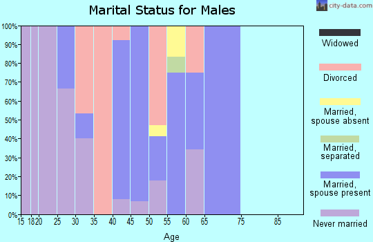 Zip code 29567 marital status for males