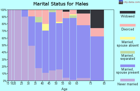 Zip code 29568 marital status for males